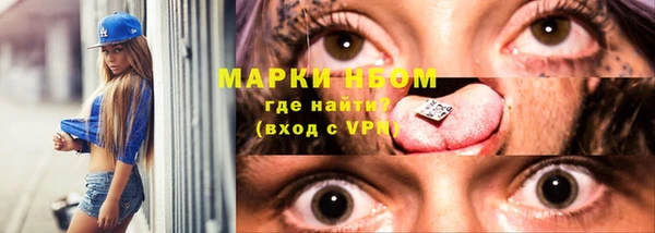 шишки Белоозёрский