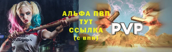 шишки Белоозёрский