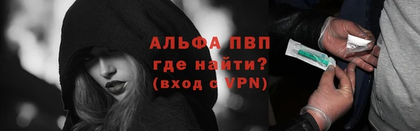 шишки Белоозёрский