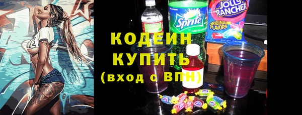 шишки Белоозёрский