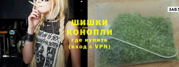 шишки Белоозёрский